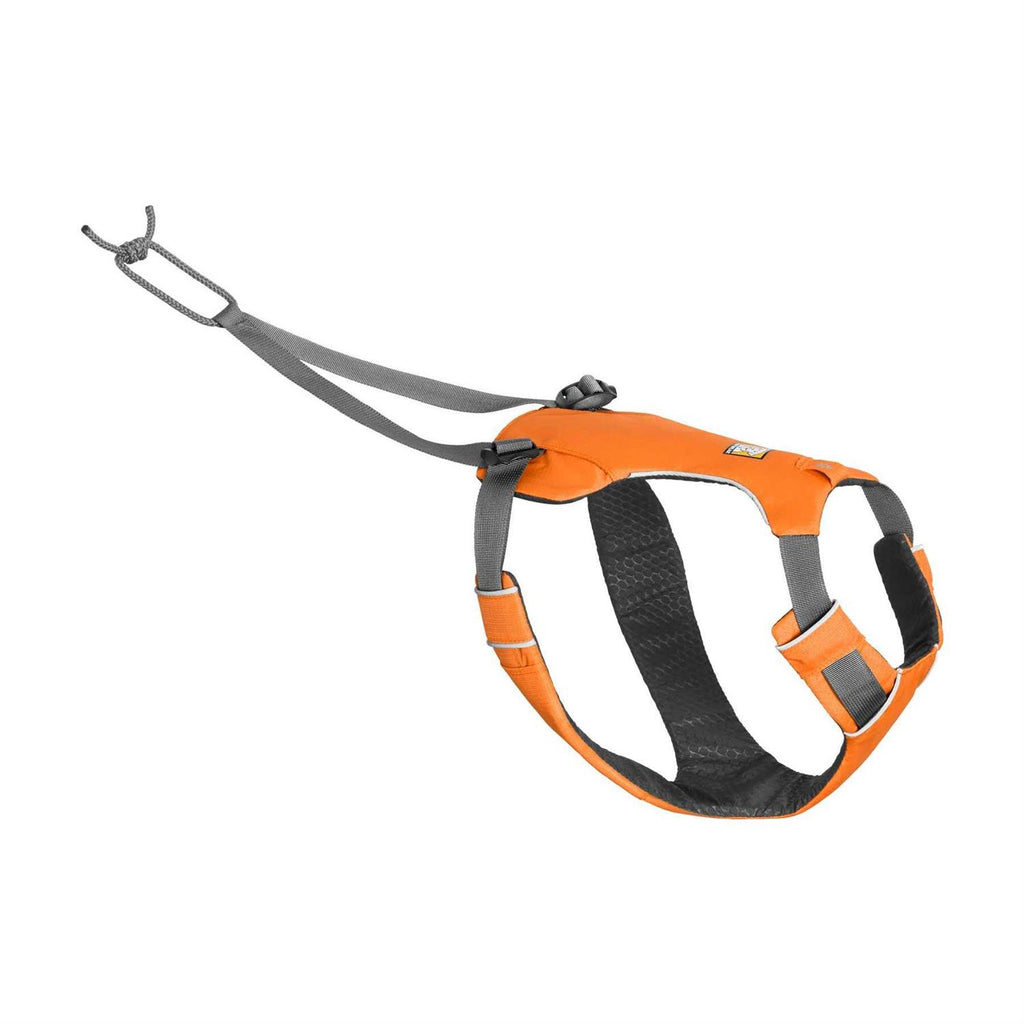 Pet Supplies S66386