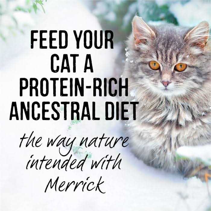 Backcountry Cat Food Real Cuts J76542