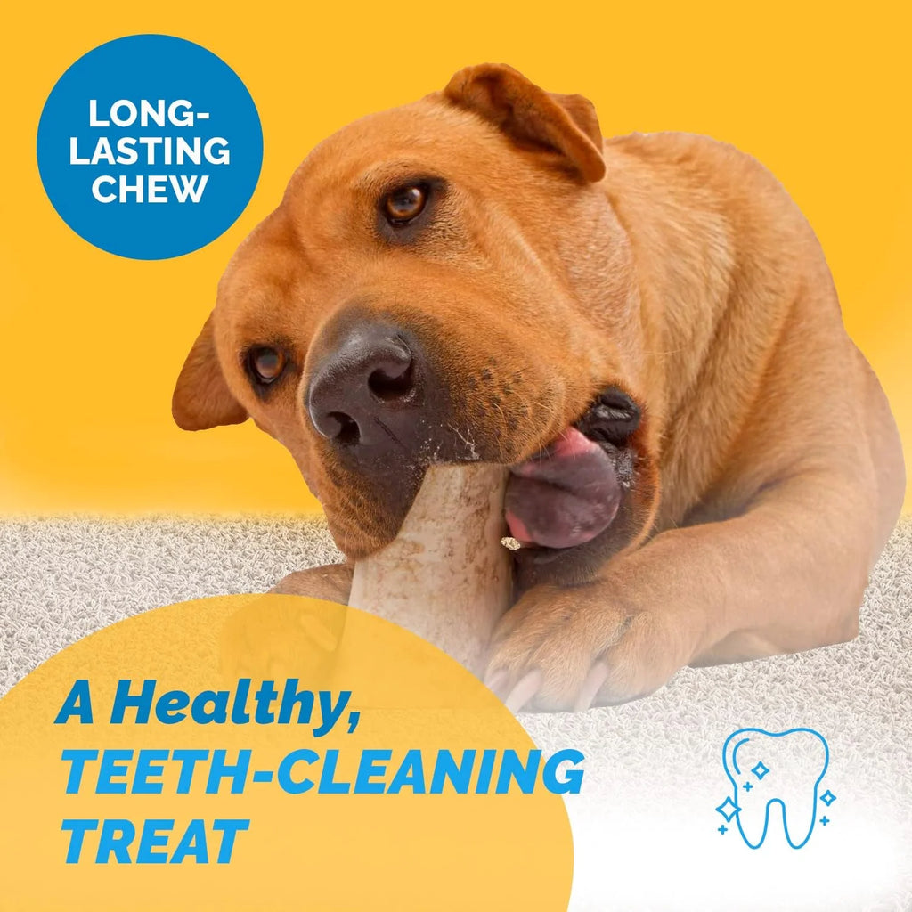 Beef Bone Chews for Dogs 3-4 inches 6 Count Z252572