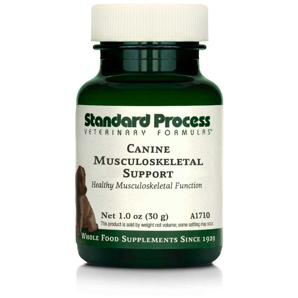 Canine Musculoskeletal Support G3360
