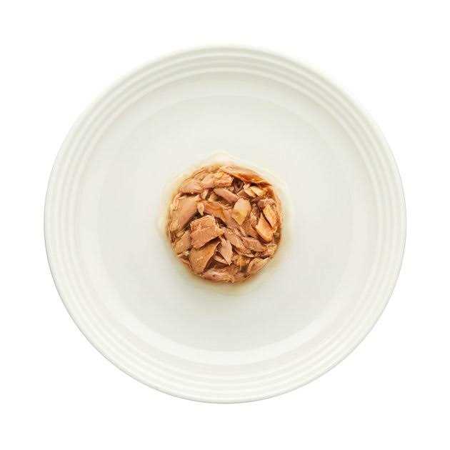 Gravy Tuna Fillet Grain Free Cat Food D32998