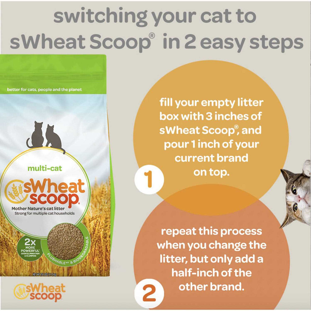 Cat Litter F23125