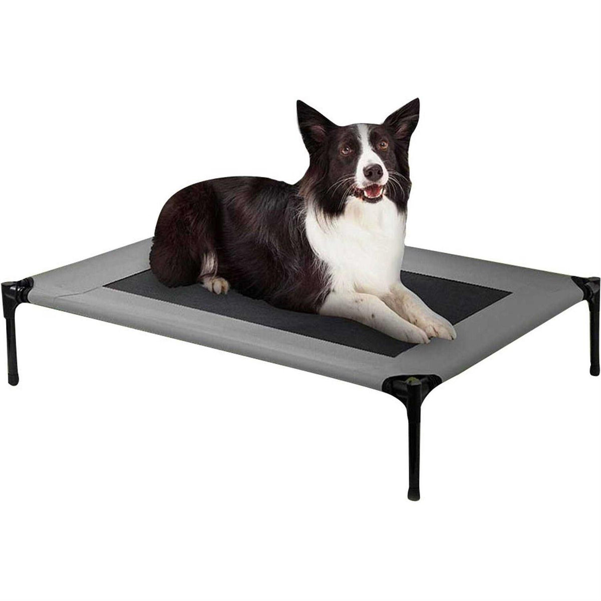 Cot Dog Bed D2077