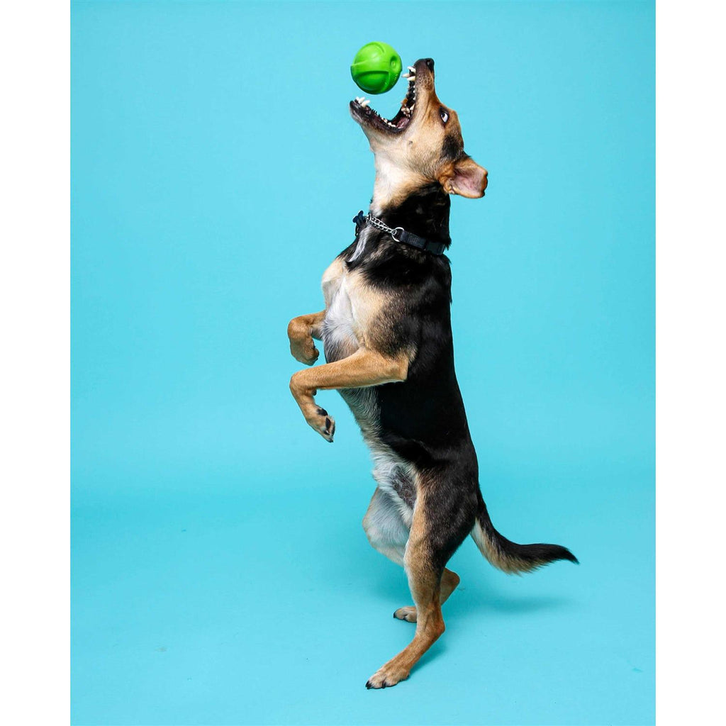 Dura Play Ball Dog Toy N286