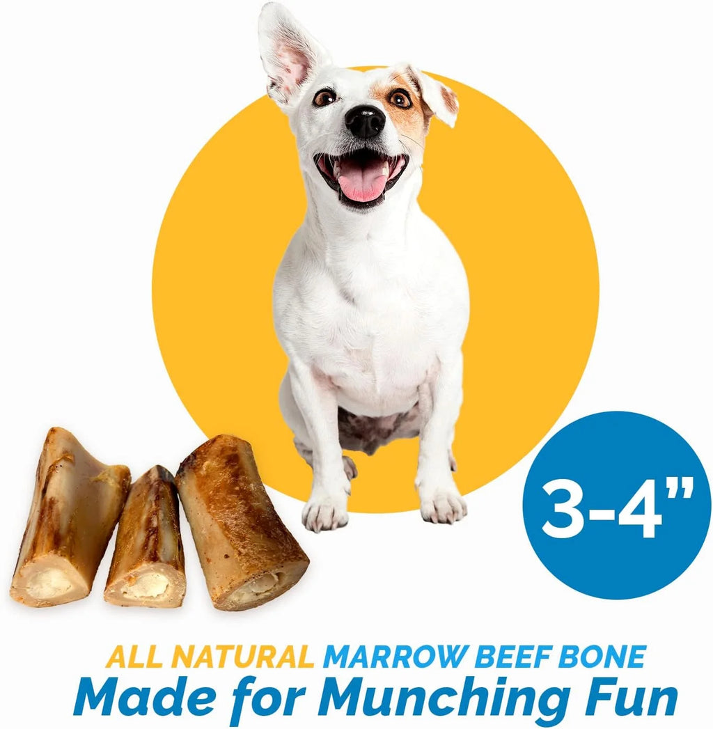 Beef Bone Chews for Dogs 3-4 inches 6 Count Z252572