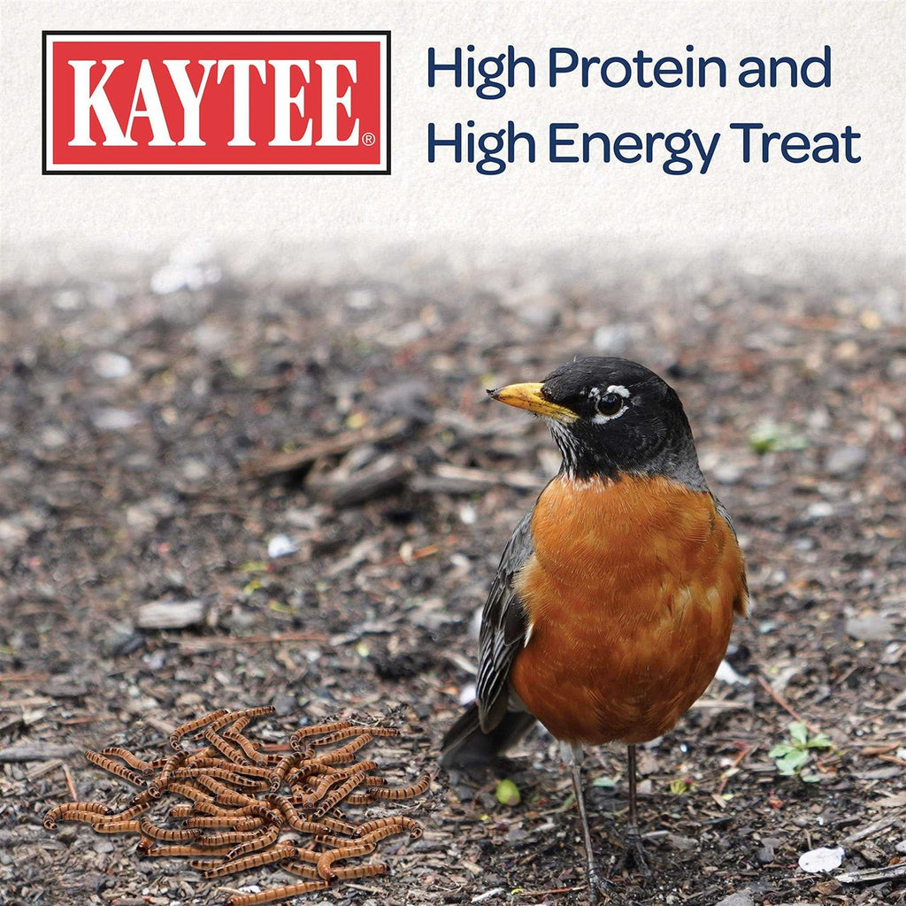 Mealworms Bird Food V5696