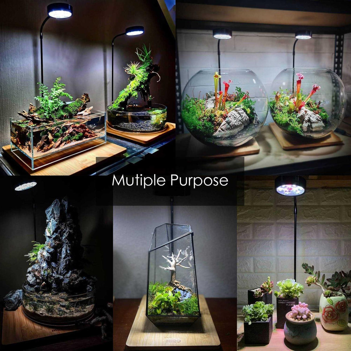 Full Spectrum LED Light with Bamboo Board Z316