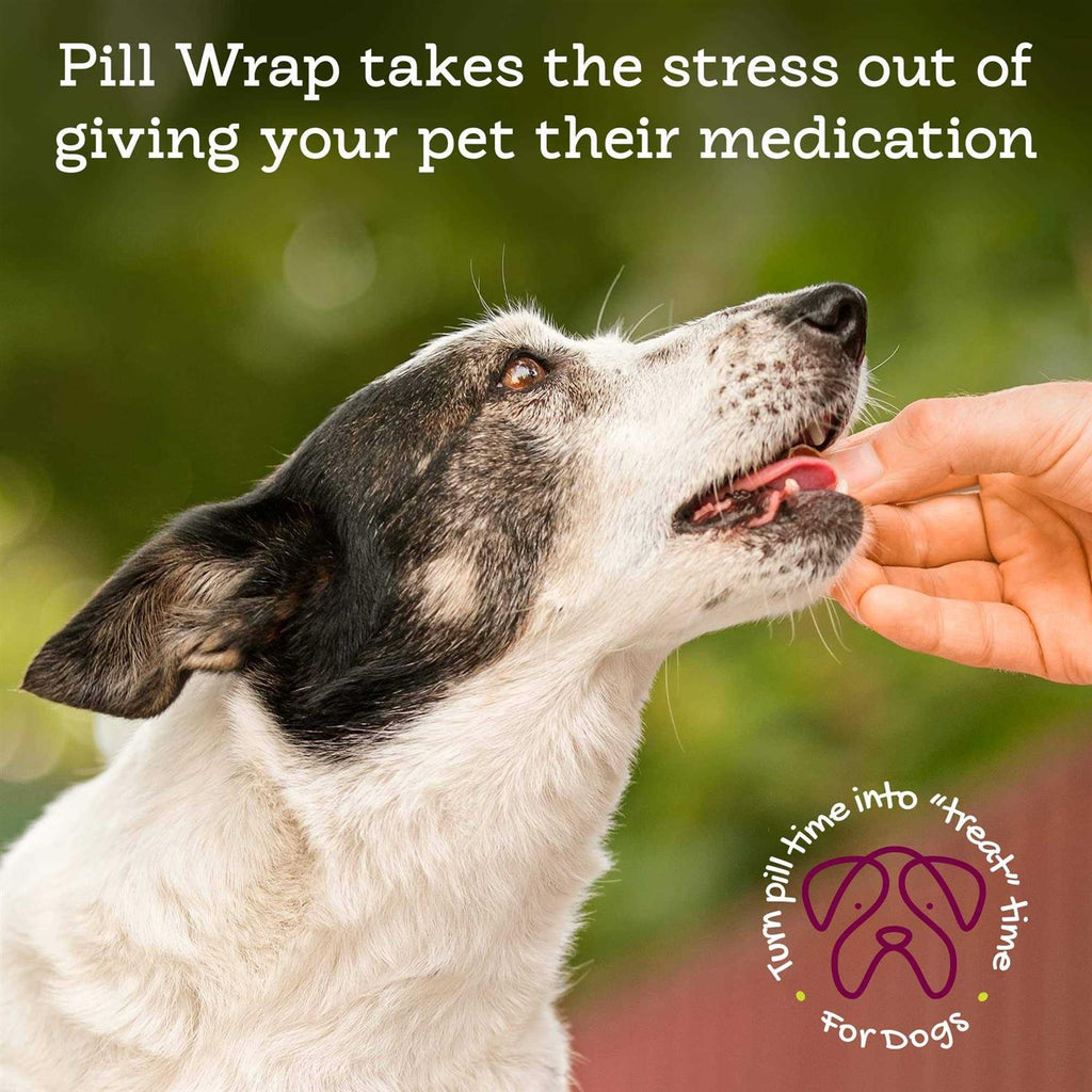 Peanut Butter Flavored Pill Paste for Dogs K33433