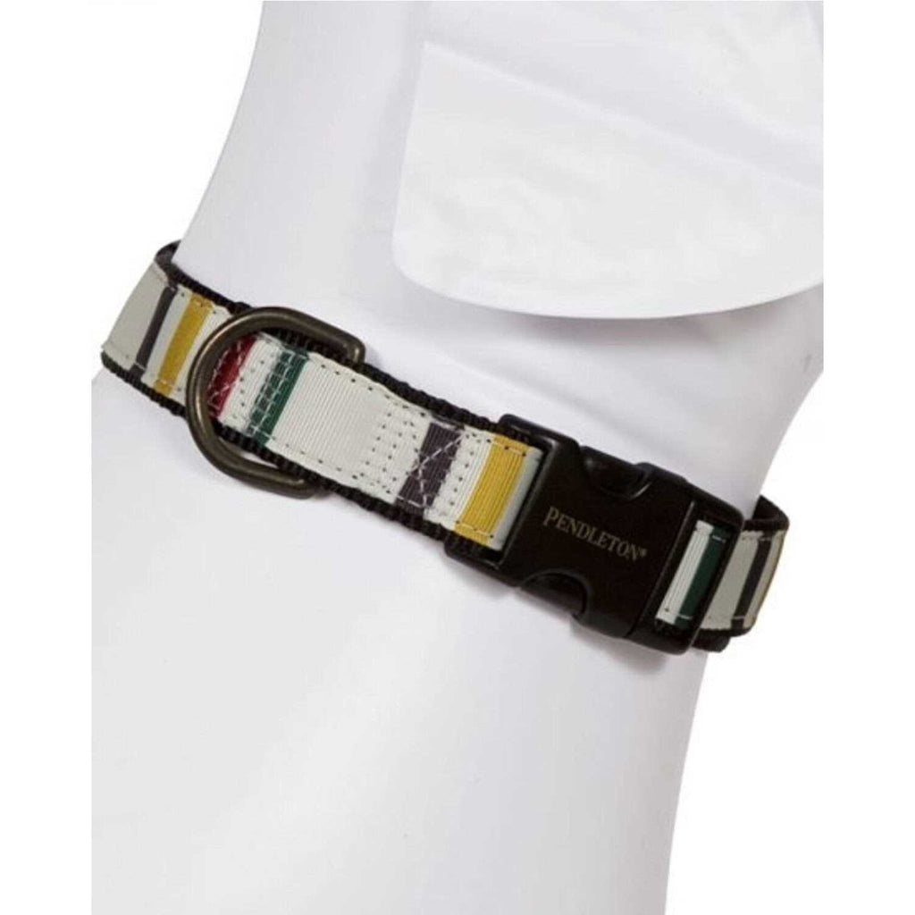 Dog Collar E1802