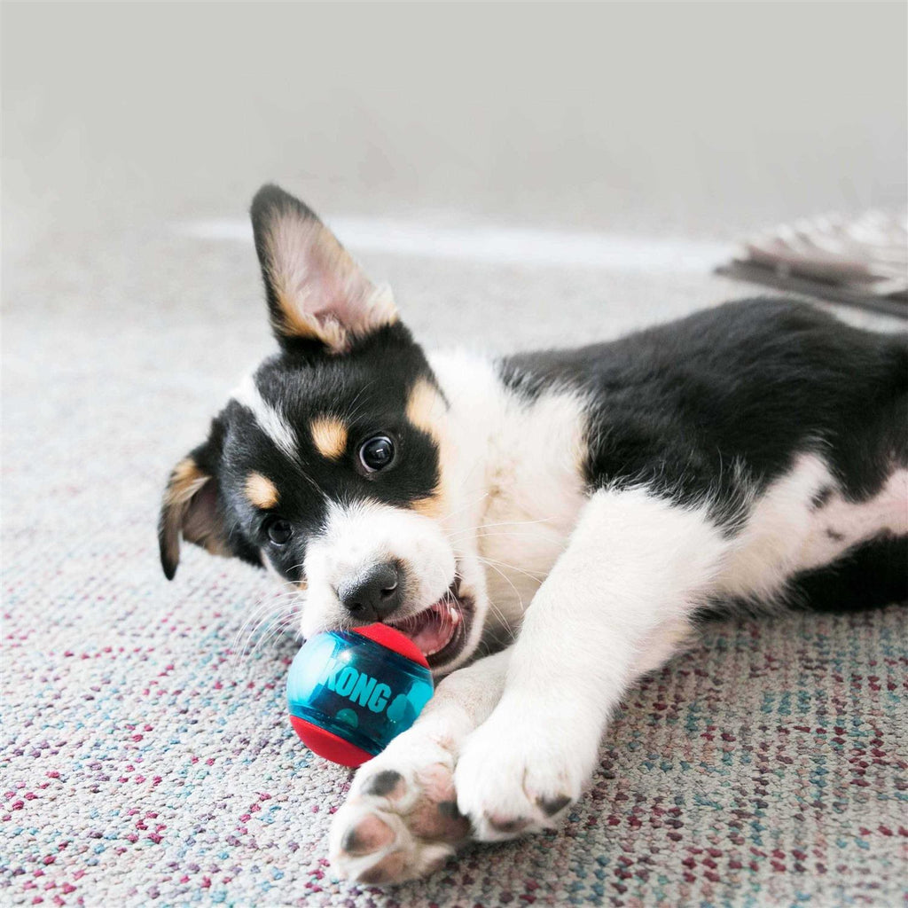 Dog Toy L58120