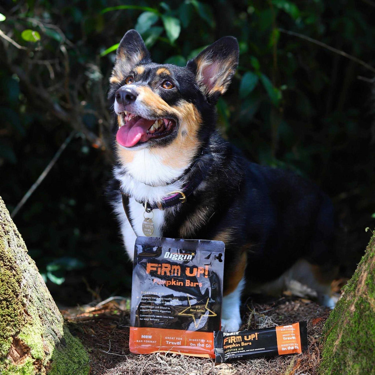 Dog Supplement G5668