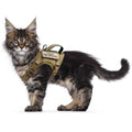 Tactical Cat Harness Soft Mesh Adjustable Pet Vest Harness W5172