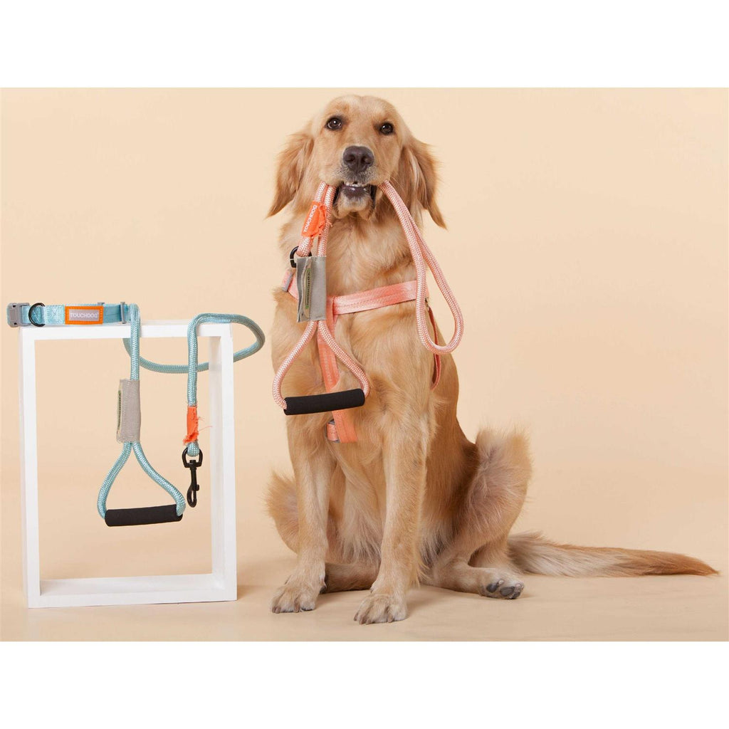 Nylon Dog Harness and Leash V41285
