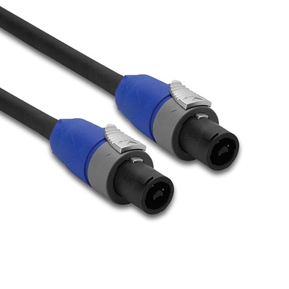 Speaker Cable - Neutrik Speakon to Same - 10ft I15604