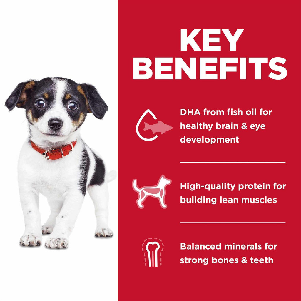 Puppy Dry Dog Food W498