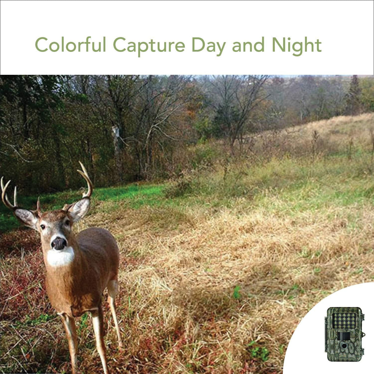 18MP 1080P Trail Camera with 2” LCD White LED Flash O5353