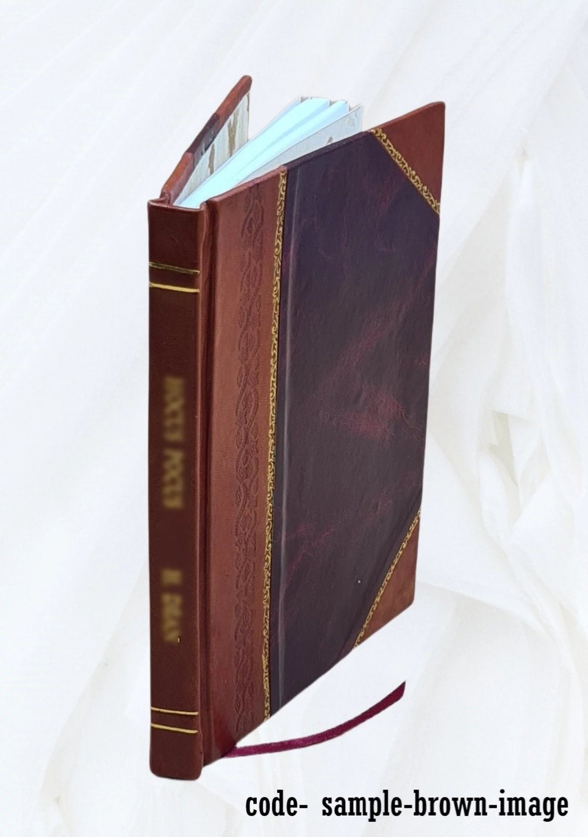 Constitution of the Grand Lodge of Ancient, Free and Accepted Masons of Nova Scotia 1867 Leather Bound I6618