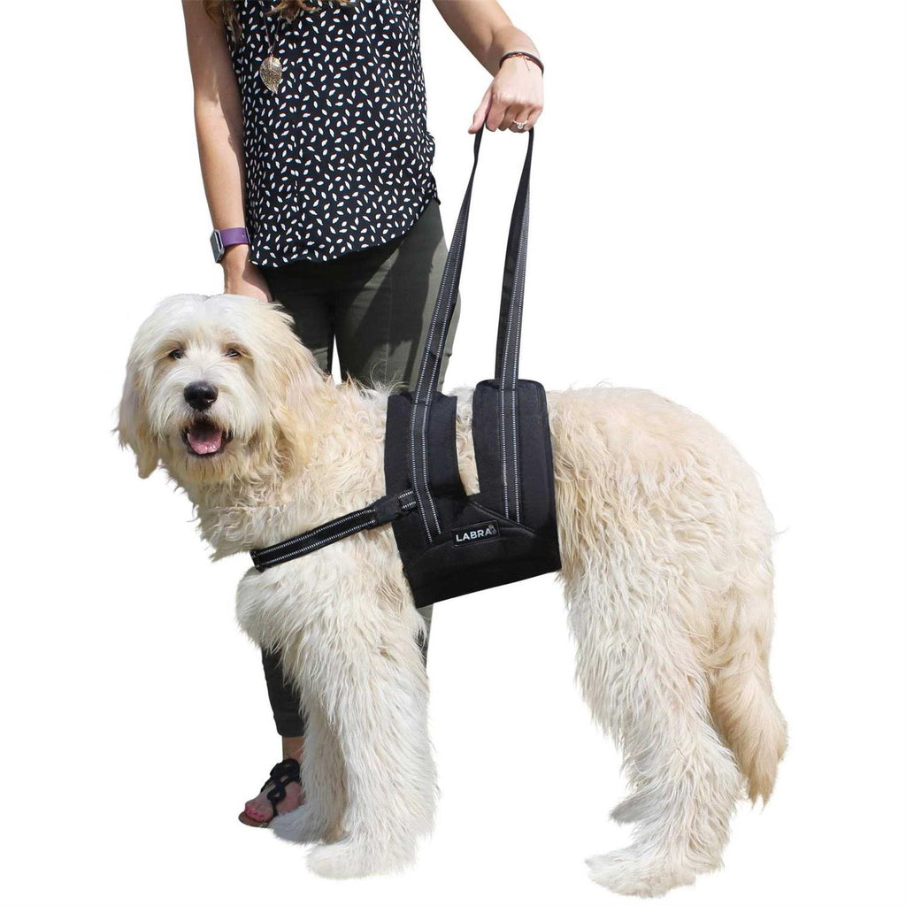 Veterinarian Approved Dog Sling Assist with Chest Strap M9846