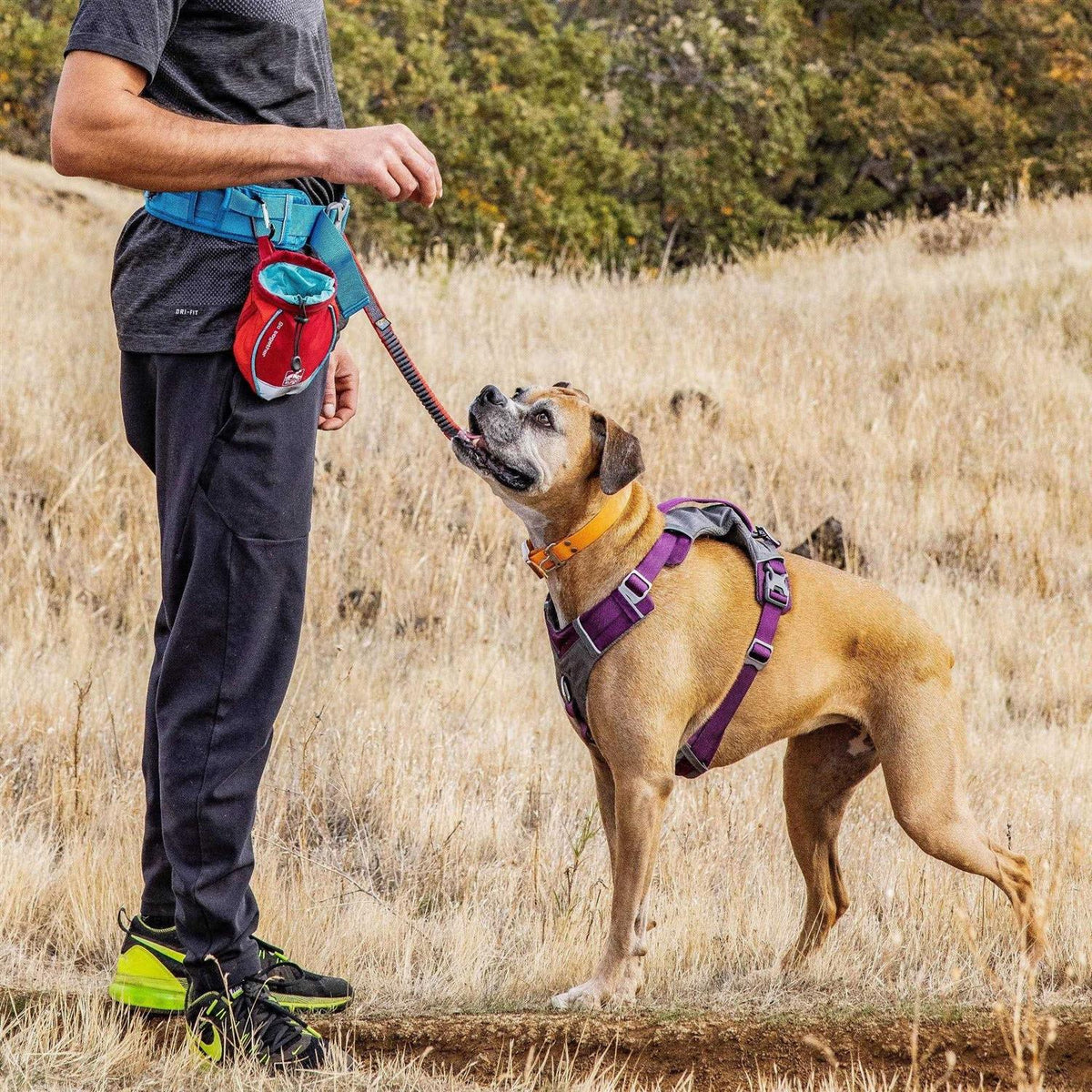 Dog Treat Bag J380