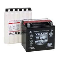 12 Volt Maintenance Free Battery U19001