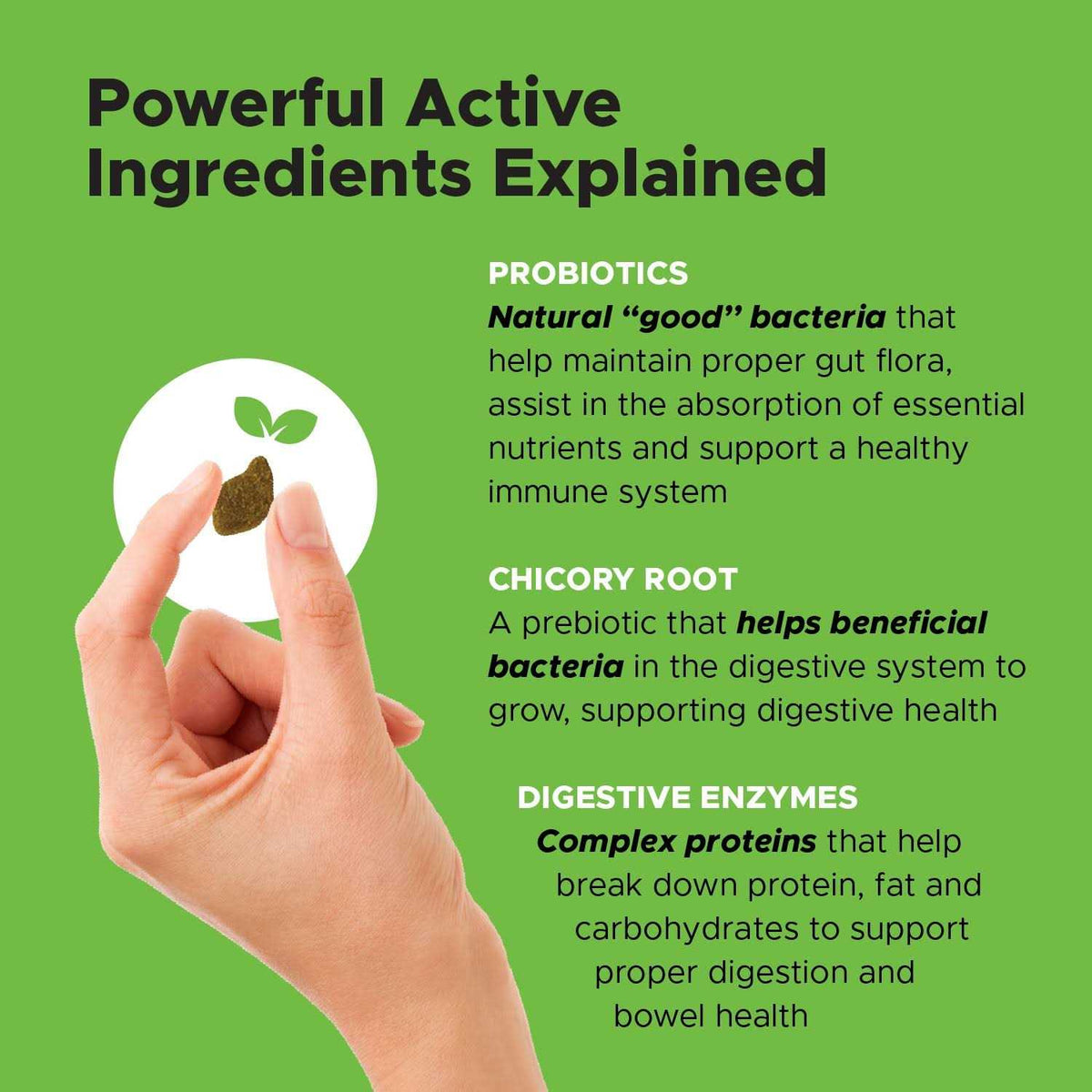 Probiotics for Dogs Digestive Enzymes W82086