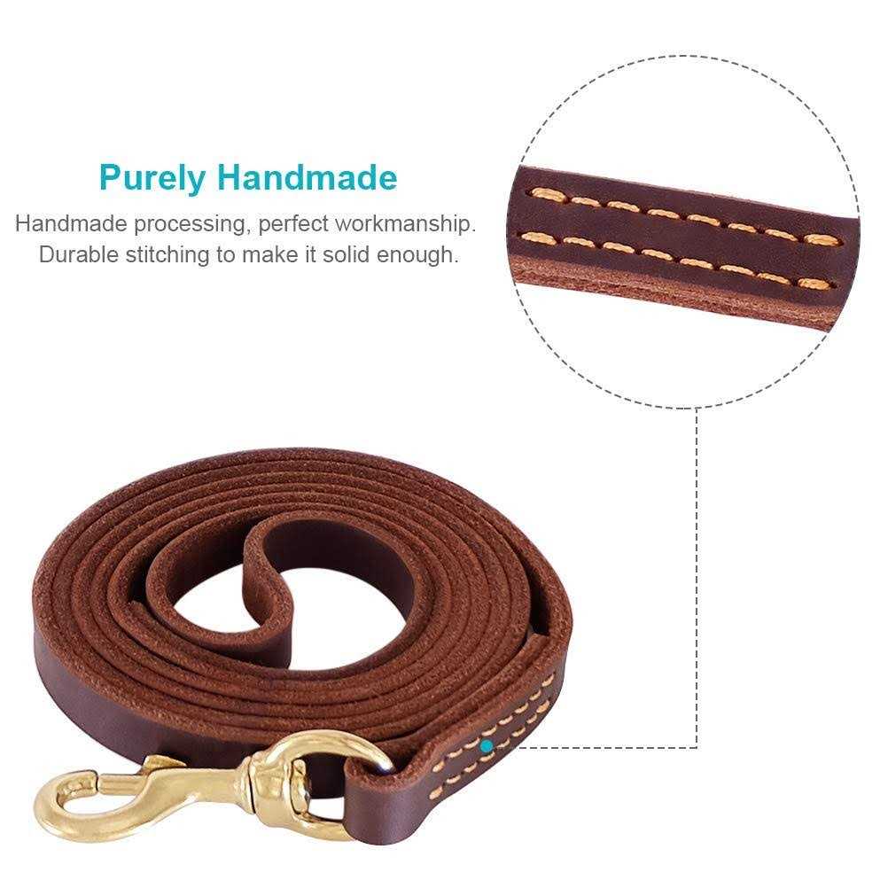 Leather 6 Foot Braided Dog Leash L876750