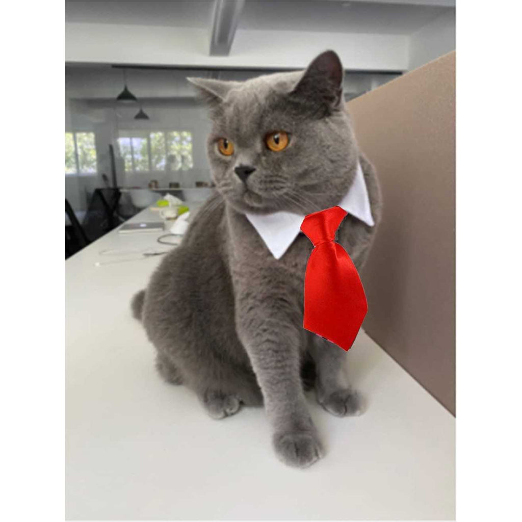 Adjustable Pet Bowtie Collar C1749