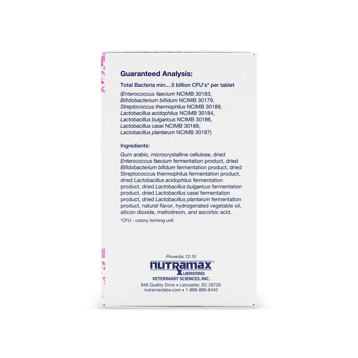 Multi-Strain Probiotics and Prebiotics for Dogs N66514