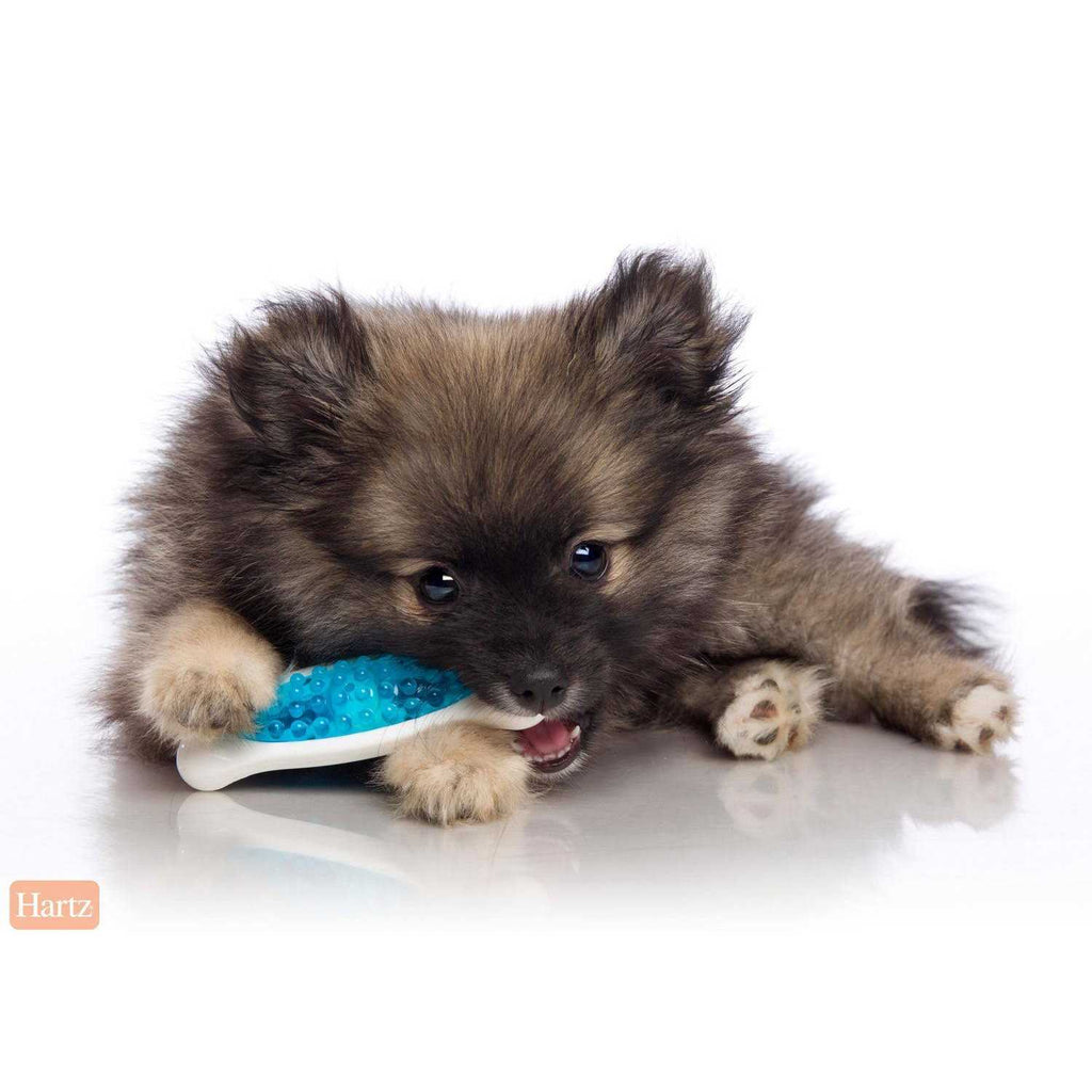 Dog Chew Toy H64787