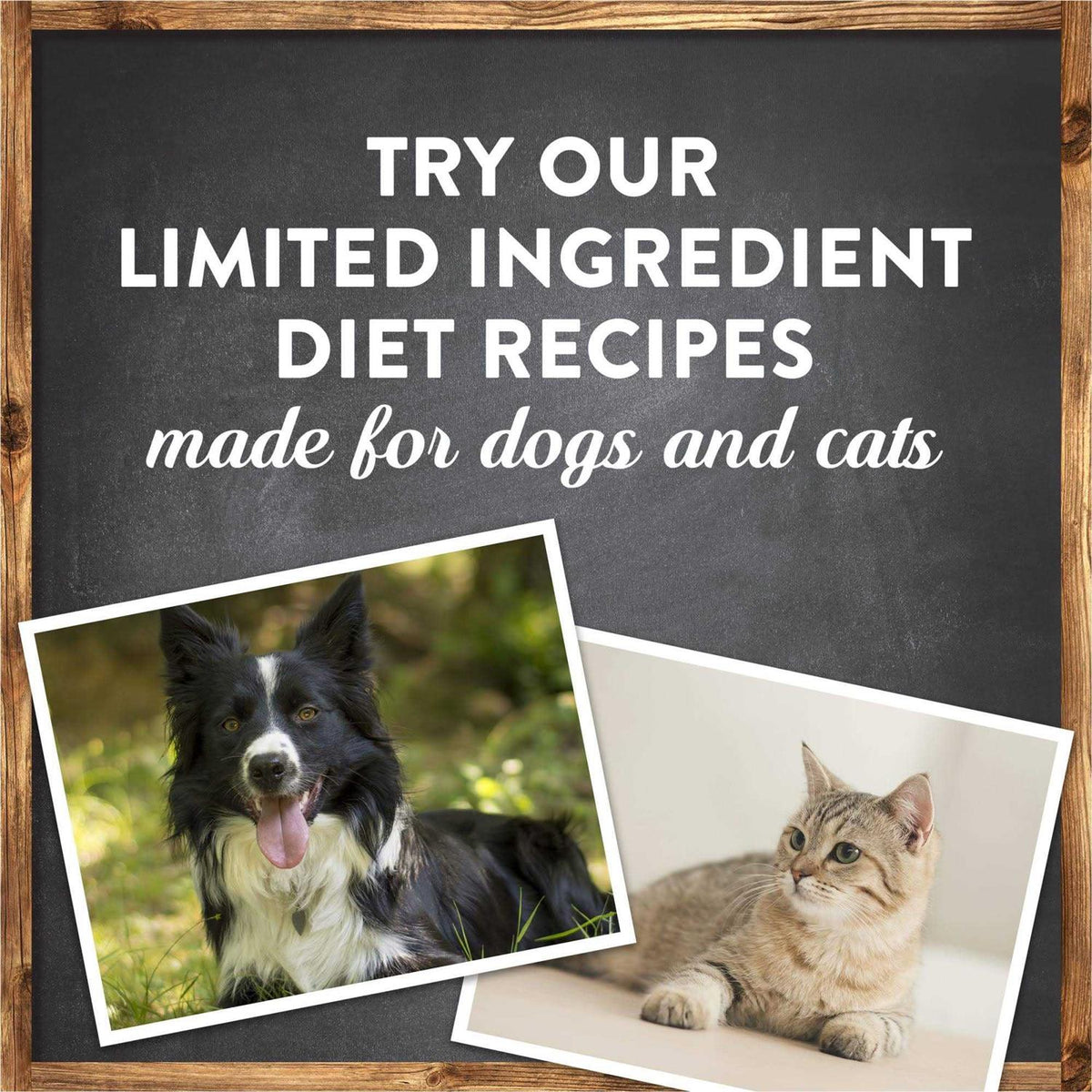 Grain Free Lamb Sweet Potato Recipe Dry Dog Food G12397