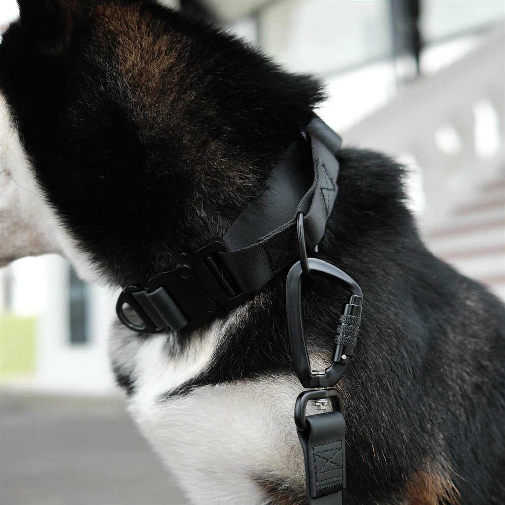Waterproof Martingale Collar H754