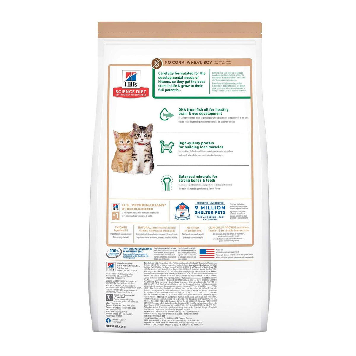 Kitten Dry Cat Food T448808