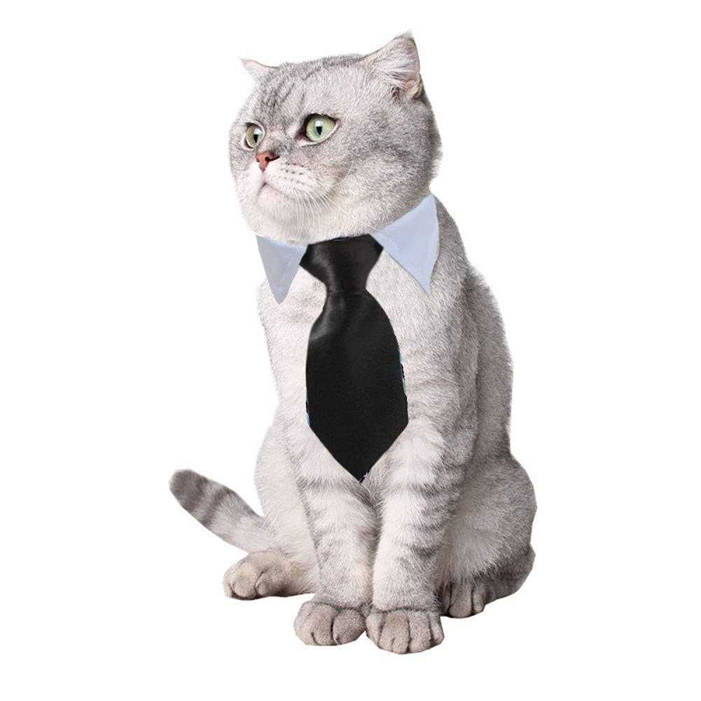 Adjustable Pet Bowtie Collar C1749
