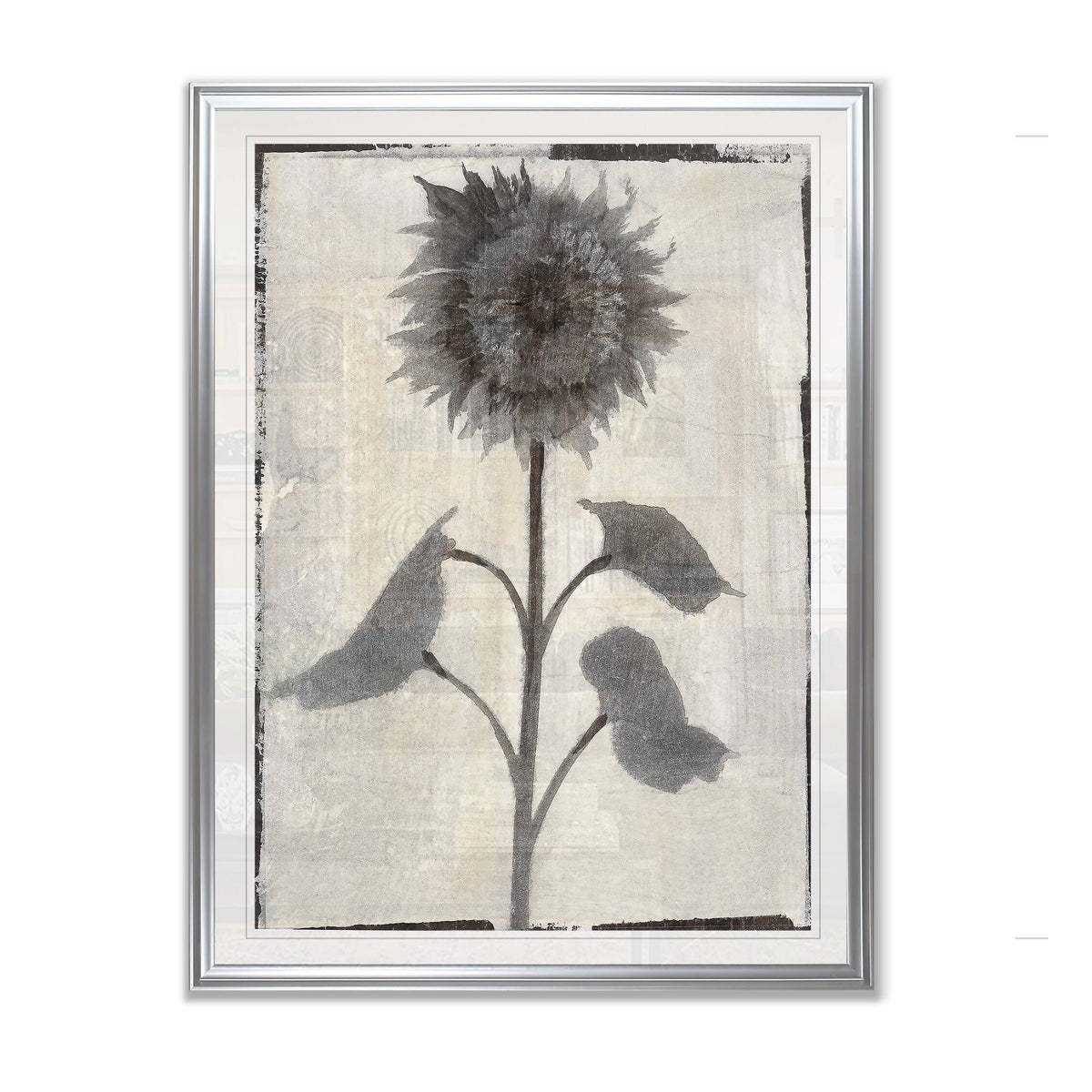 Framed Giclee Print 26x36 U5873