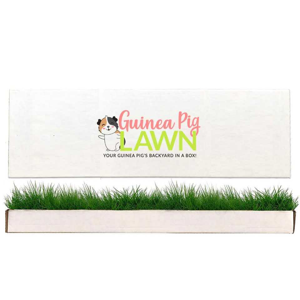 Pet Supplies F89018