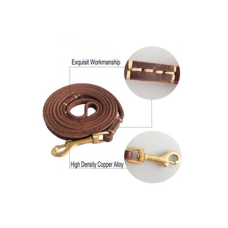 Leather 6 Foot Braided Dog Leash L876750