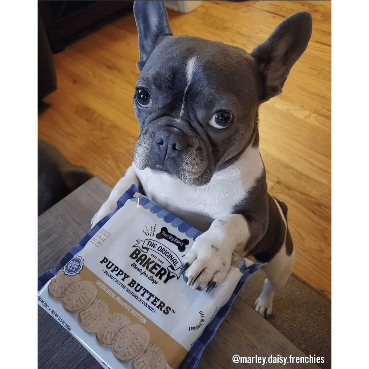 Peanut Butter Dog Treats U422