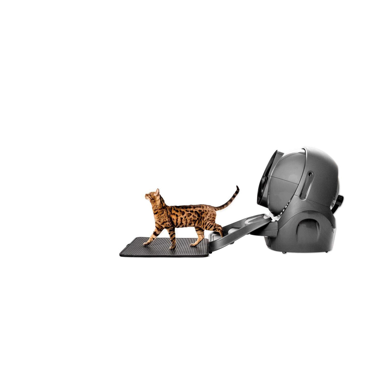 Cat Mat H647608
