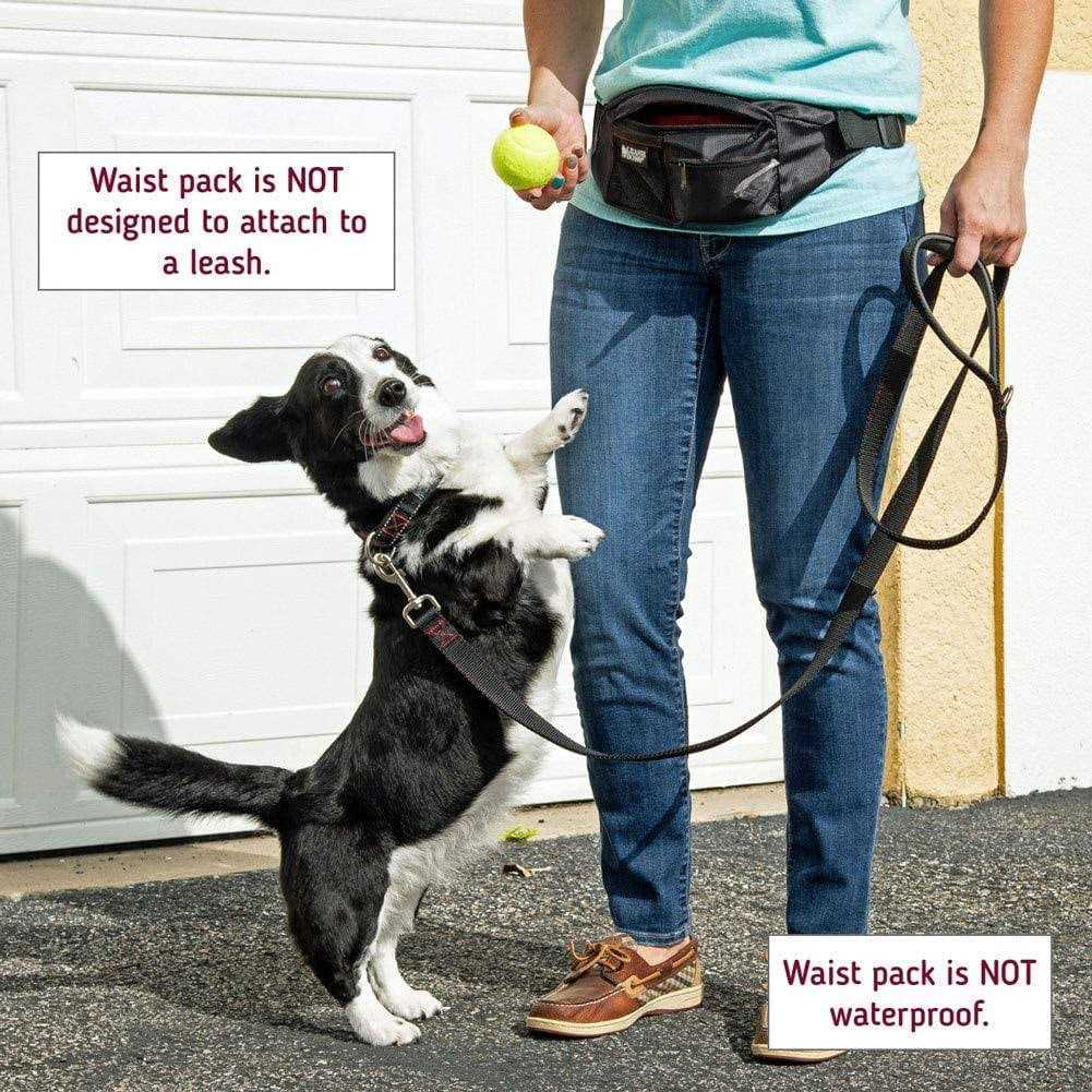 Dog Treat Training Pouch with Waste Bag Dispenser Z27372