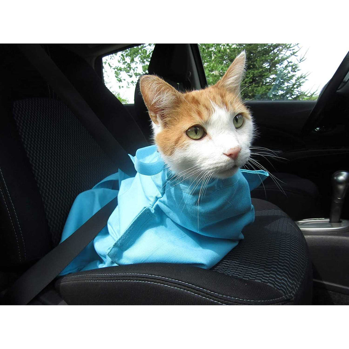 Cozy Comfort Carrier F656