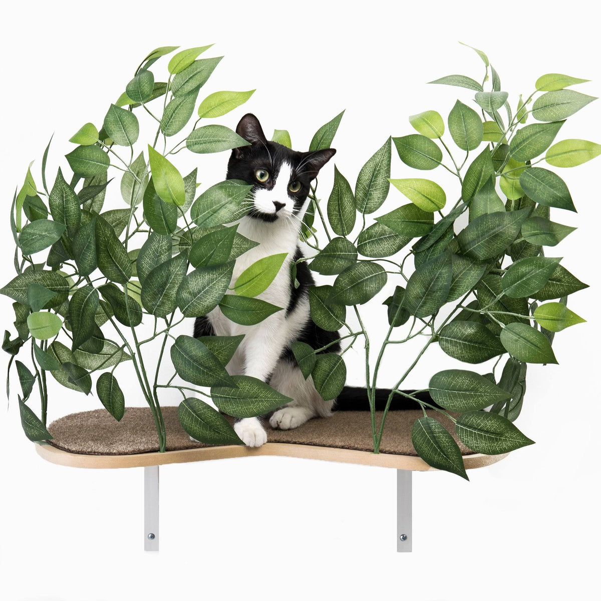 Cat Canopy Wall Shelves, 2 Count W642730