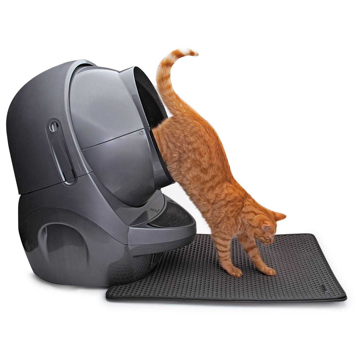 Cat Mat H647608