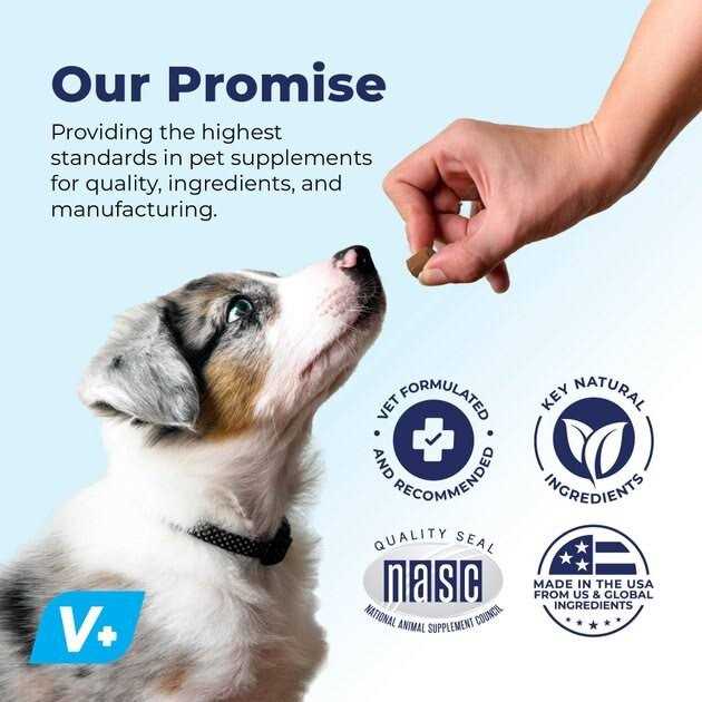 Vet Strength Chew W216908