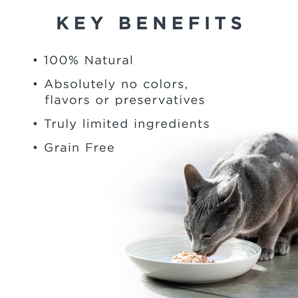 Natural Wet Cat Food Fish Variety Pack in Broth V12757