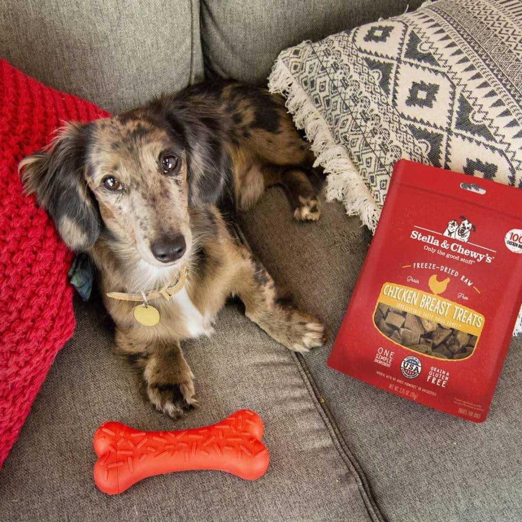Beef Freeze Dried Dog Treats A72103