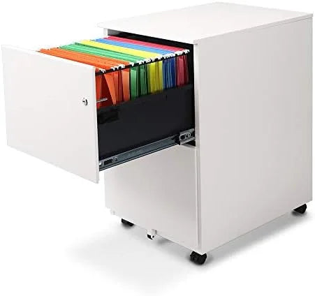 2 Drawer Metal File Cabinet with Lock Y875
