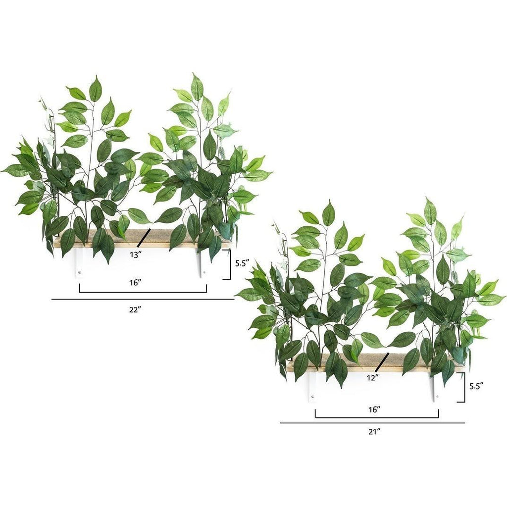 Cat Canopy Wall Shelves, 2 Count W642730