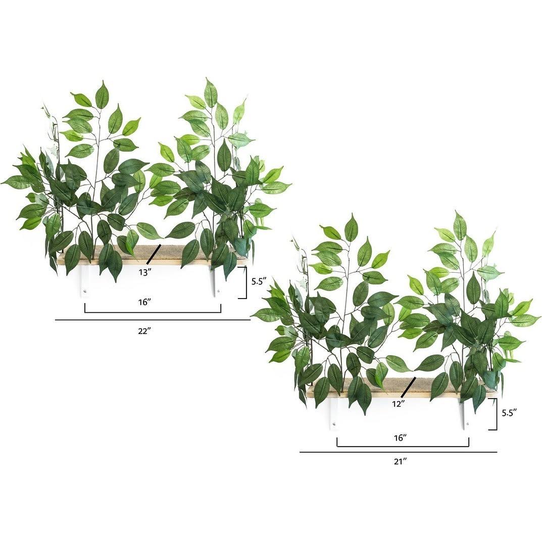 Cat Canopy Wall Shelves, 2 Count W642730