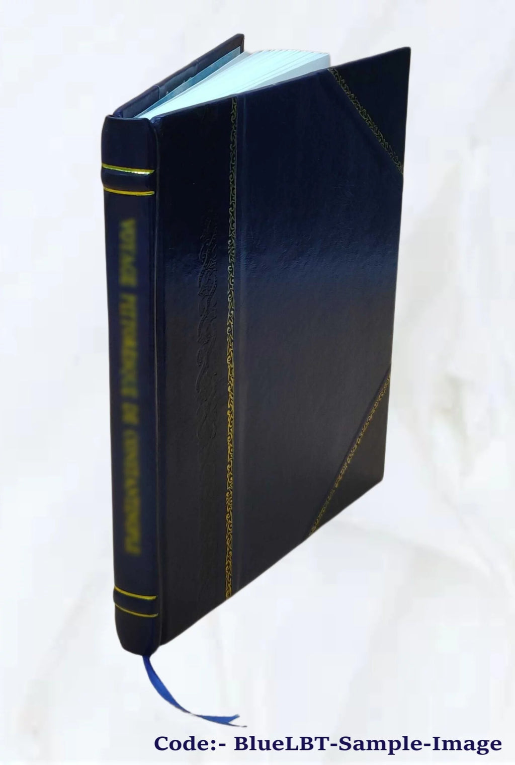 Guide du géomètre pour les opérations d'arpentage et le rapport des plans A519681