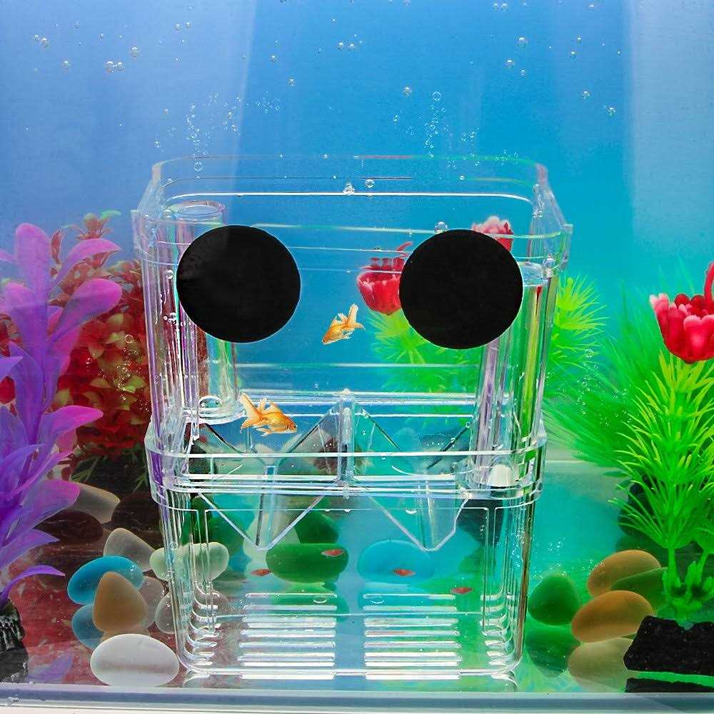 Aquarium Fish Breeder Box Plastic Isolation Hatching Incubator Box Z45354